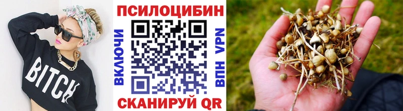 Купить  Орёл  Псилоцибиновые грибы ЛСД 